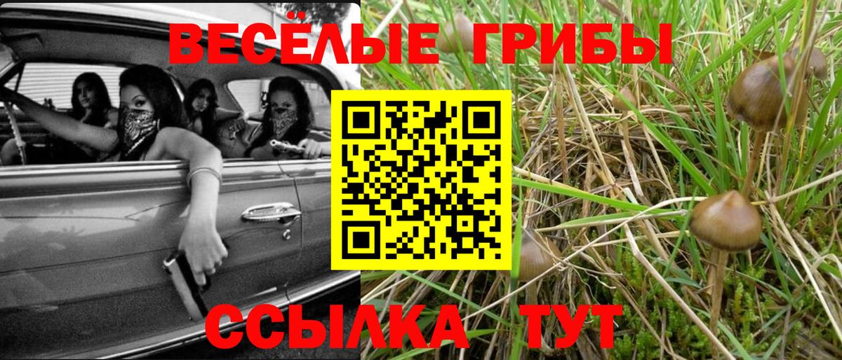 Канабис Балтийск